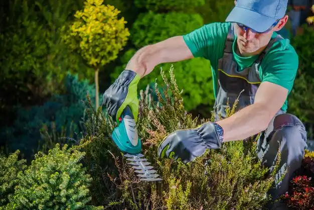 landscaping services Jeanerette